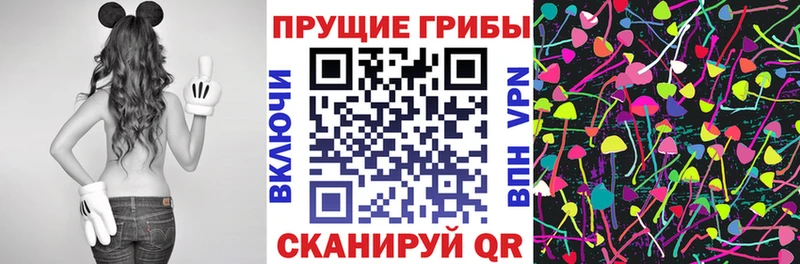 Псилоцибиновые грибы мицелий Сельцо